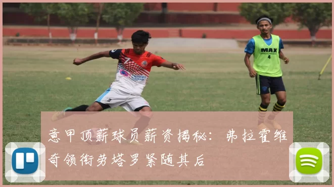 意甲顶薪球员薪资揭秘：弗拉霍维奇领衔劳塔罗紧随其后